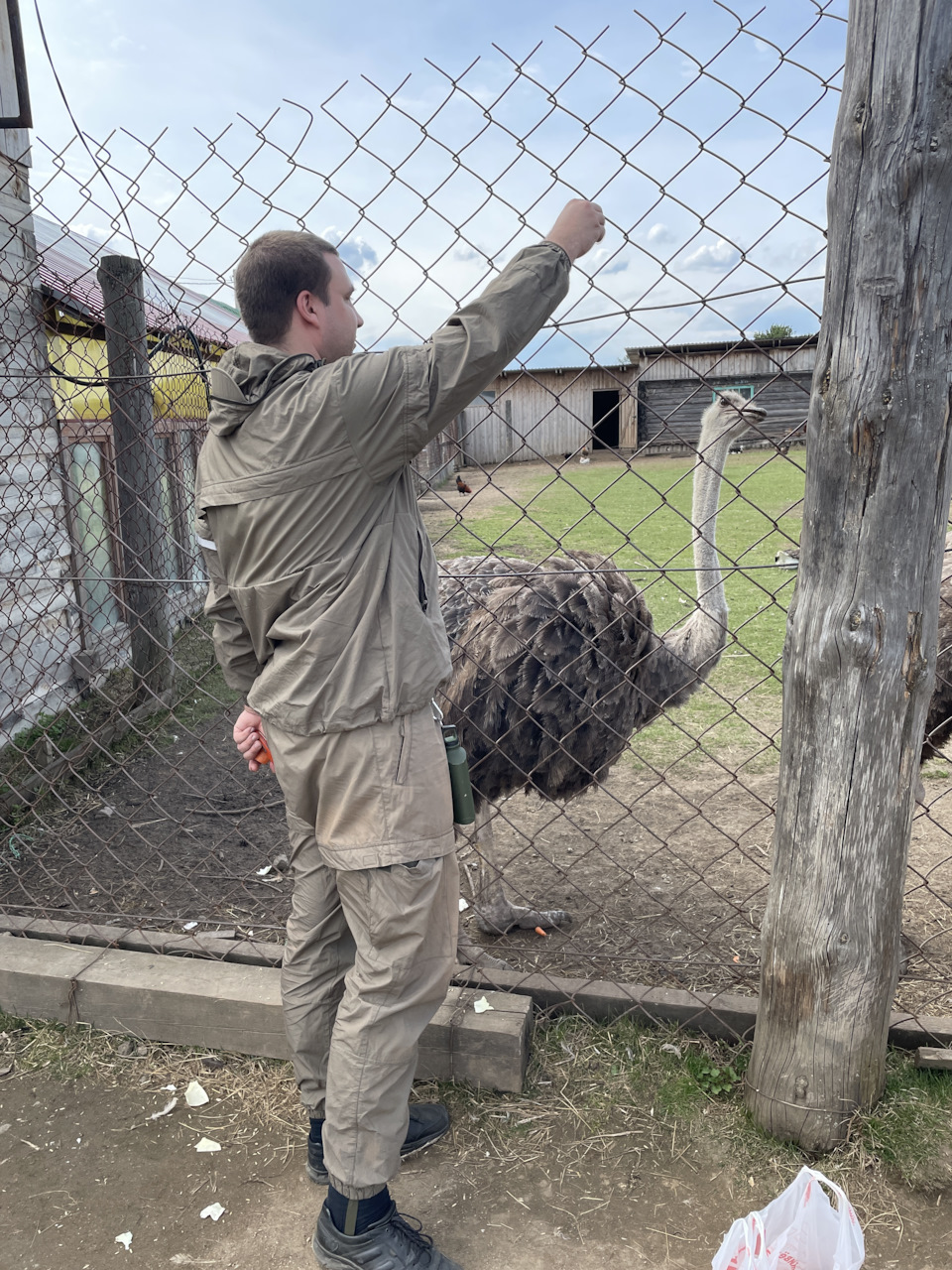 Фото в бортжурнале Toyota Land Cruiser 100
