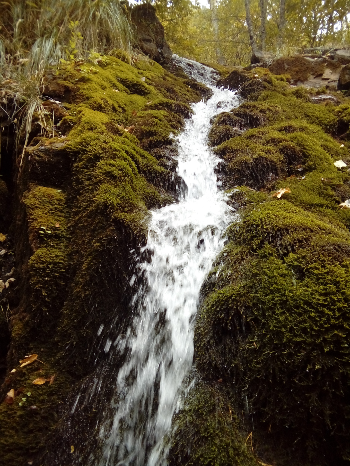 Водопад маруха