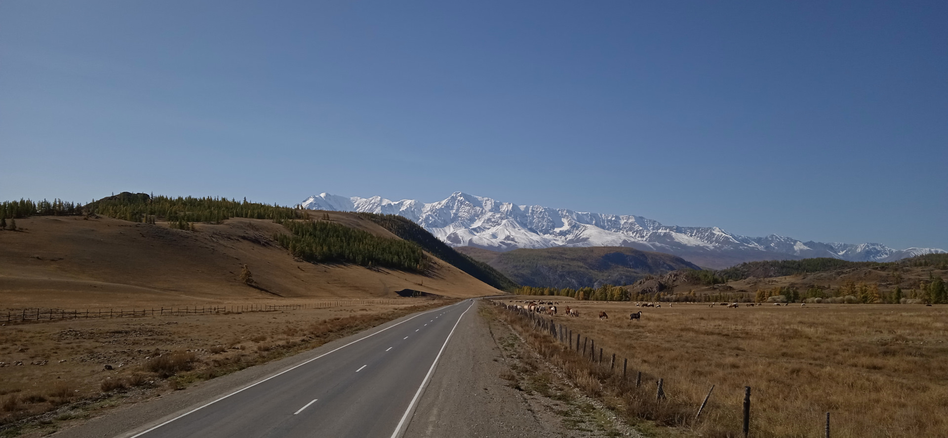 Ташанта горный алтай фото