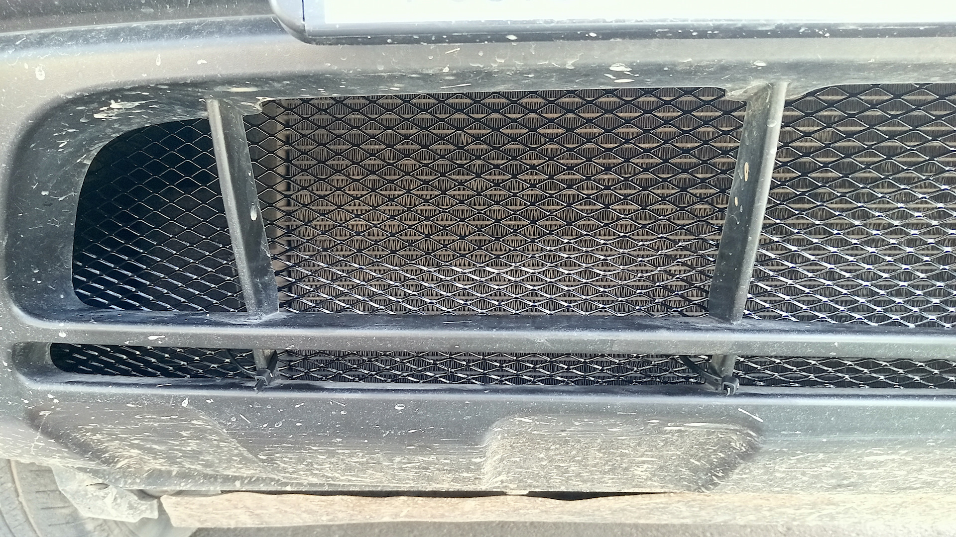 Можно ли ставить сетку. Защита радиатора сетка на рав 4. Защитная сетка радиатора премиум g80. Mercedes Benz фронт защитная сетка радиатора. BMW x6 защитная сетка радиатора.