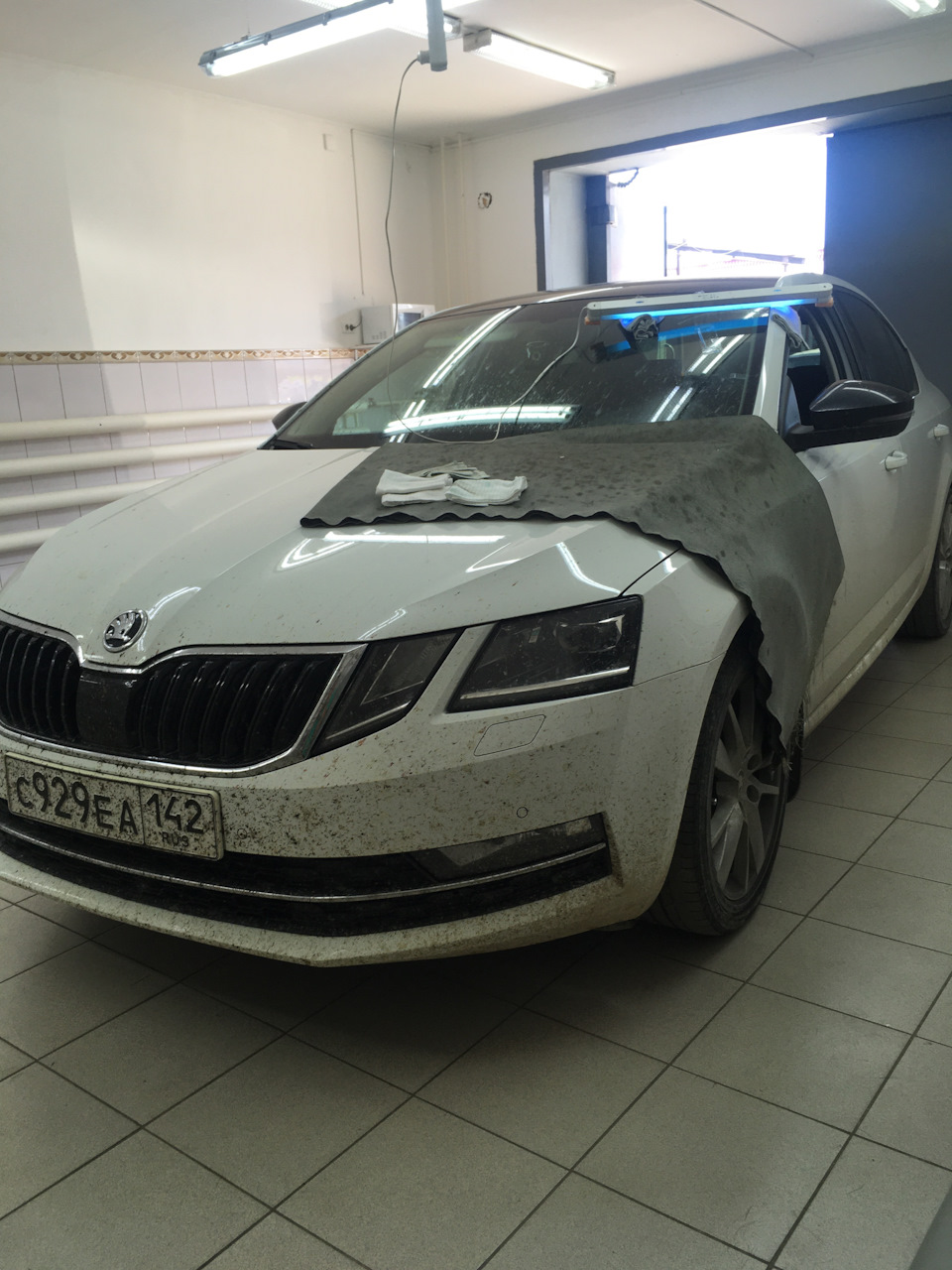 Кемерово — Акташ — Кату-Ярык — Ая — Кемерово — Skoda Octavia A7 Mk3, 1,8 л,  2017 года | путешествие | DRIVE2