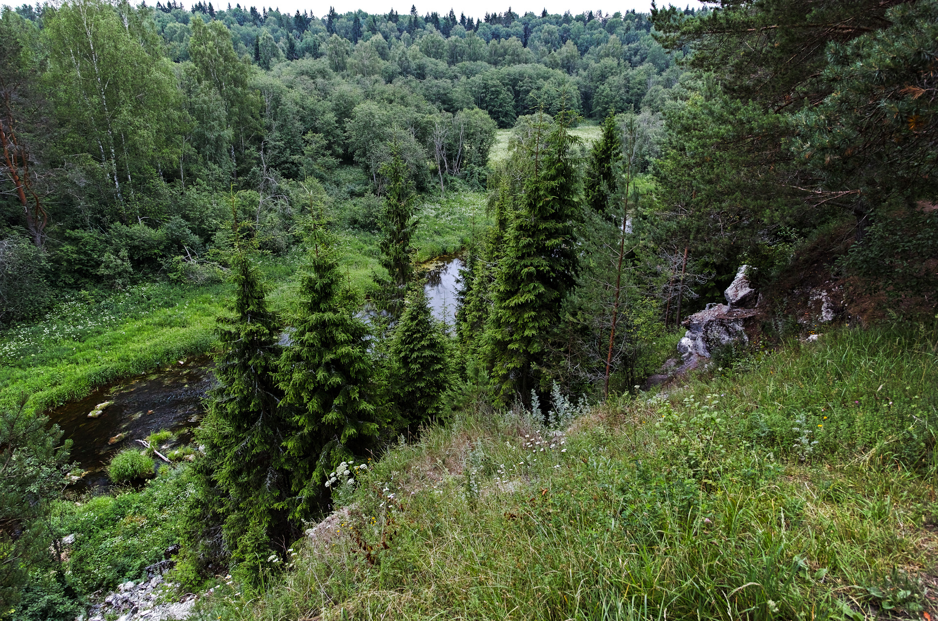 река держа тверская область