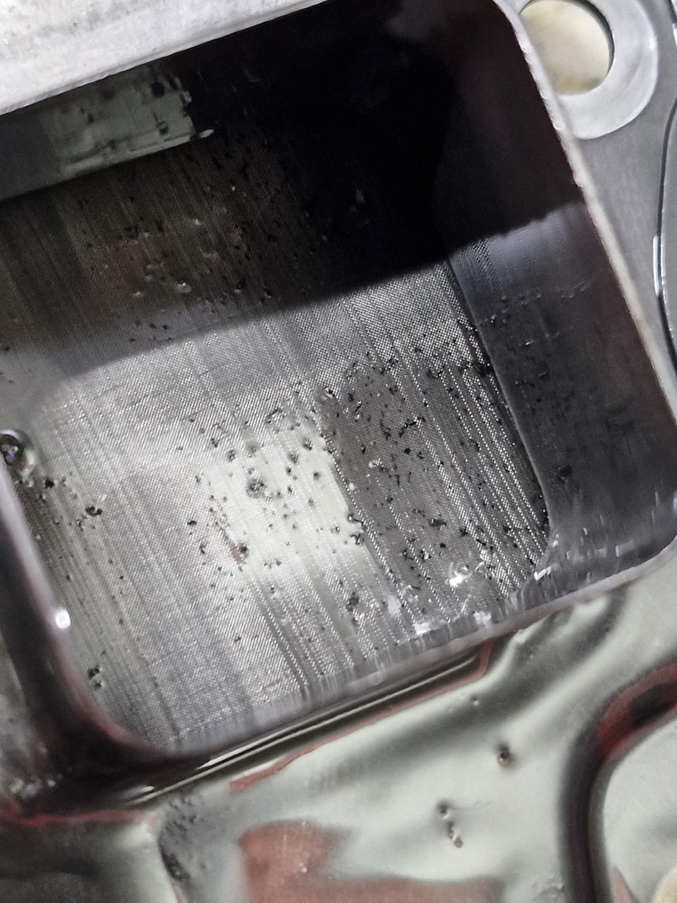 Фото в бортжурнале Nissan X-Trail II (t31)