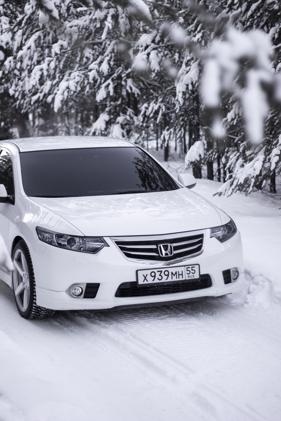 Белый Accord 8 — Honda Accord (8G), 2,4 л, 2012 года | фотография | DRIVE2