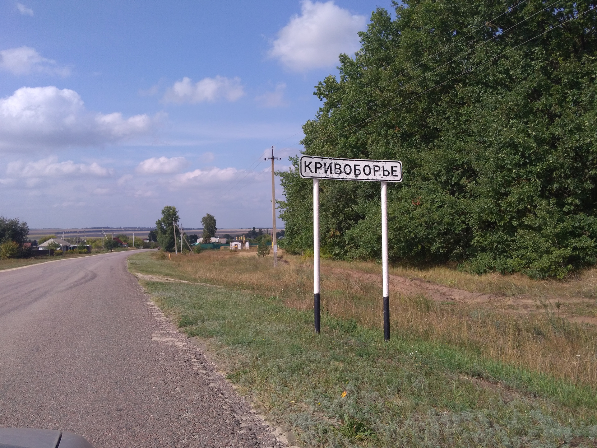 Деревня Кривоборье в Воронежской области