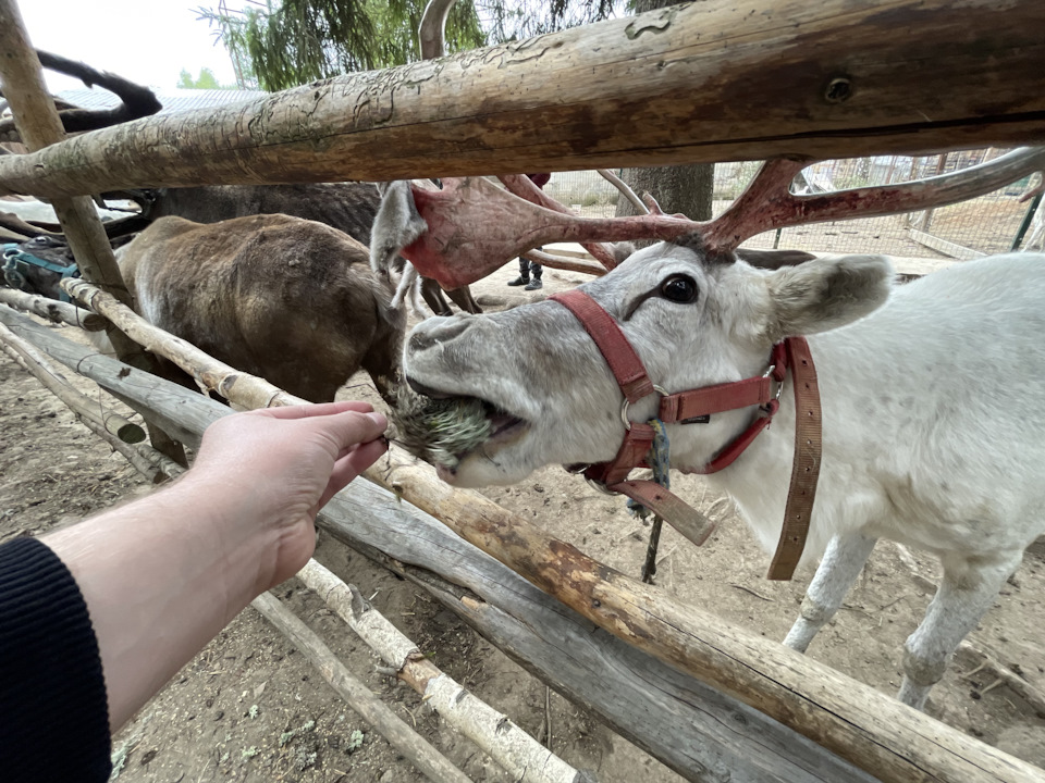 Фото в бортжурнале Cadillac Escalade (3G)