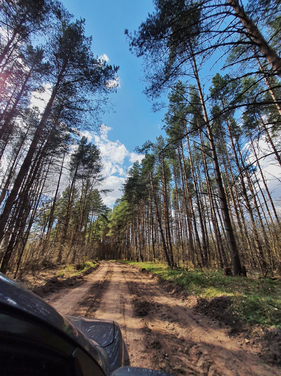 37. Первое путешествие (Рудня, Витебск, Смоленск) — Mazda 3 (1G) BK, 1,6 л,  2008 года | путешествие | DRIVE2