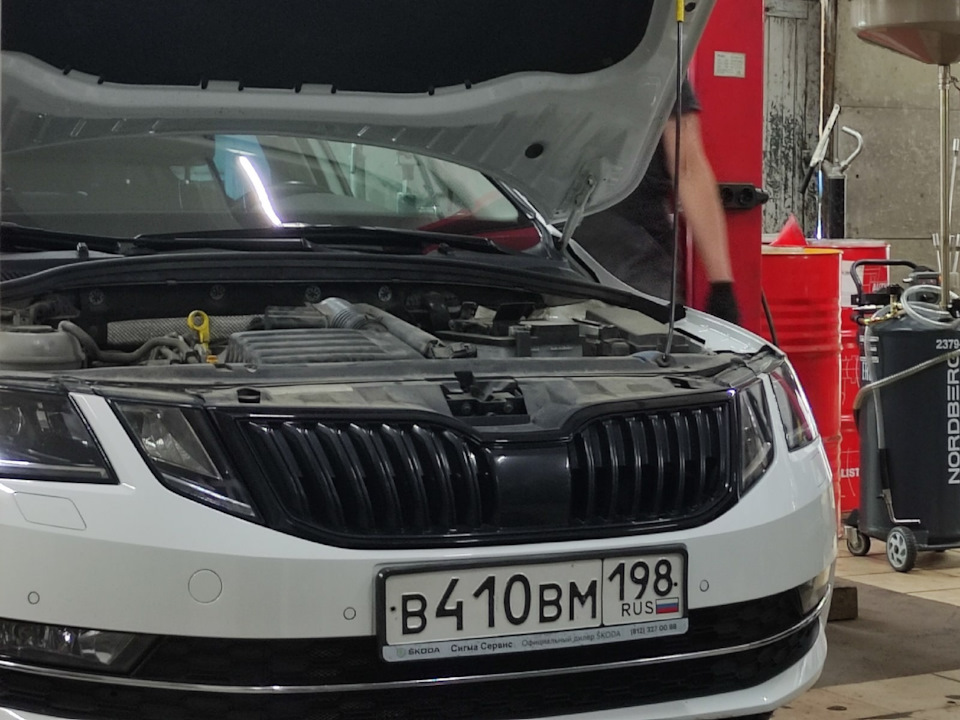 Фото в бортжурнале Skoda Octavia A7 Mk3