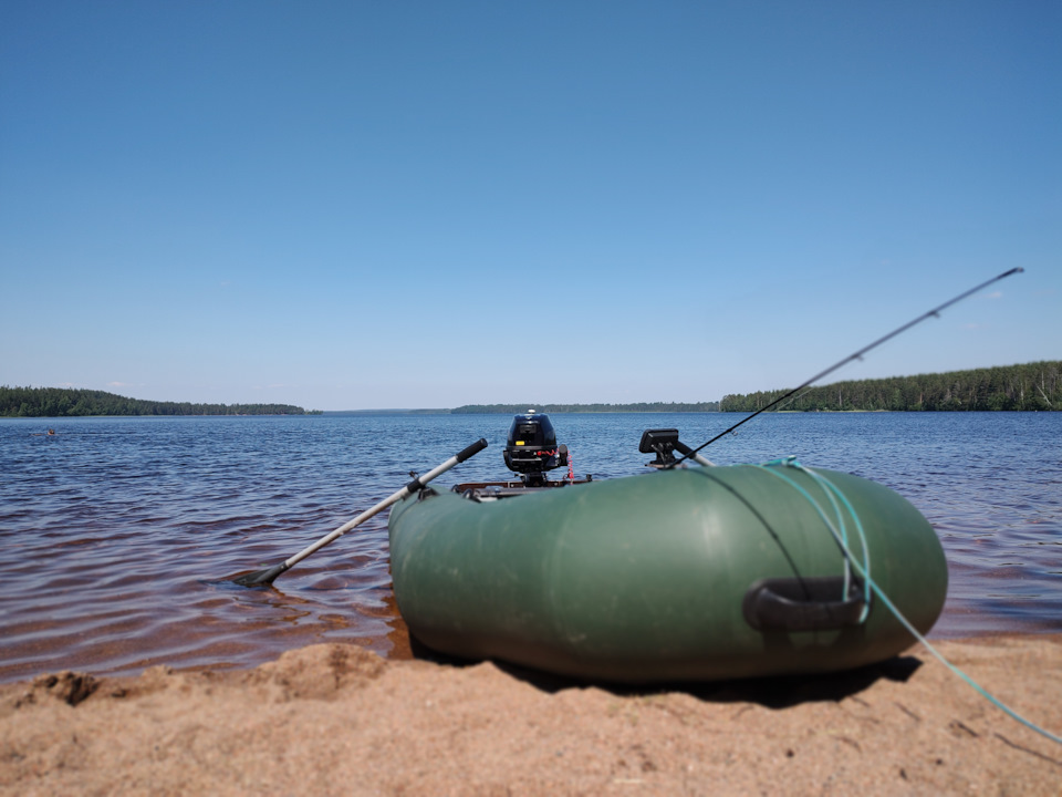 Когда Льву дорогу перебежит черная кошка, Лев бессилен. — Peugeot 5008 ...