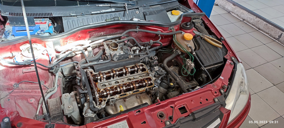 Замена цепи ГРМ, помпы, антифриза, чистка дроссельной заслонки. — Opel ...