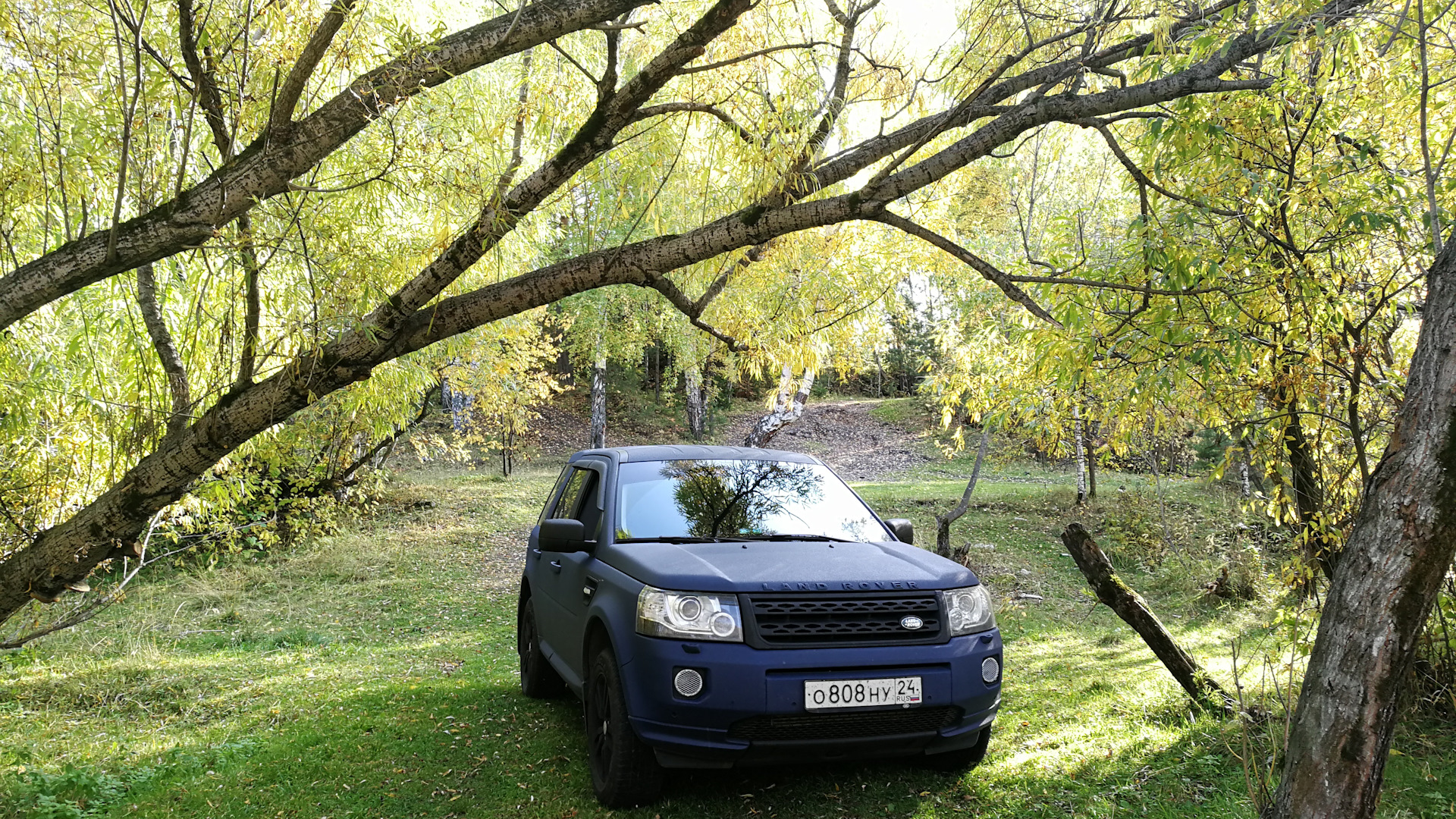 Land Rover Freelander 2 2.2 дизельный 2014 | Темно-синий красавчик!!! на  DRIVE2