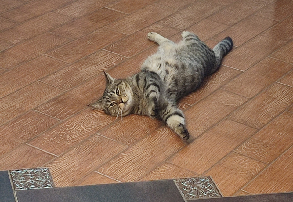 Фото в бортжурнале Ford Expedition (1G)