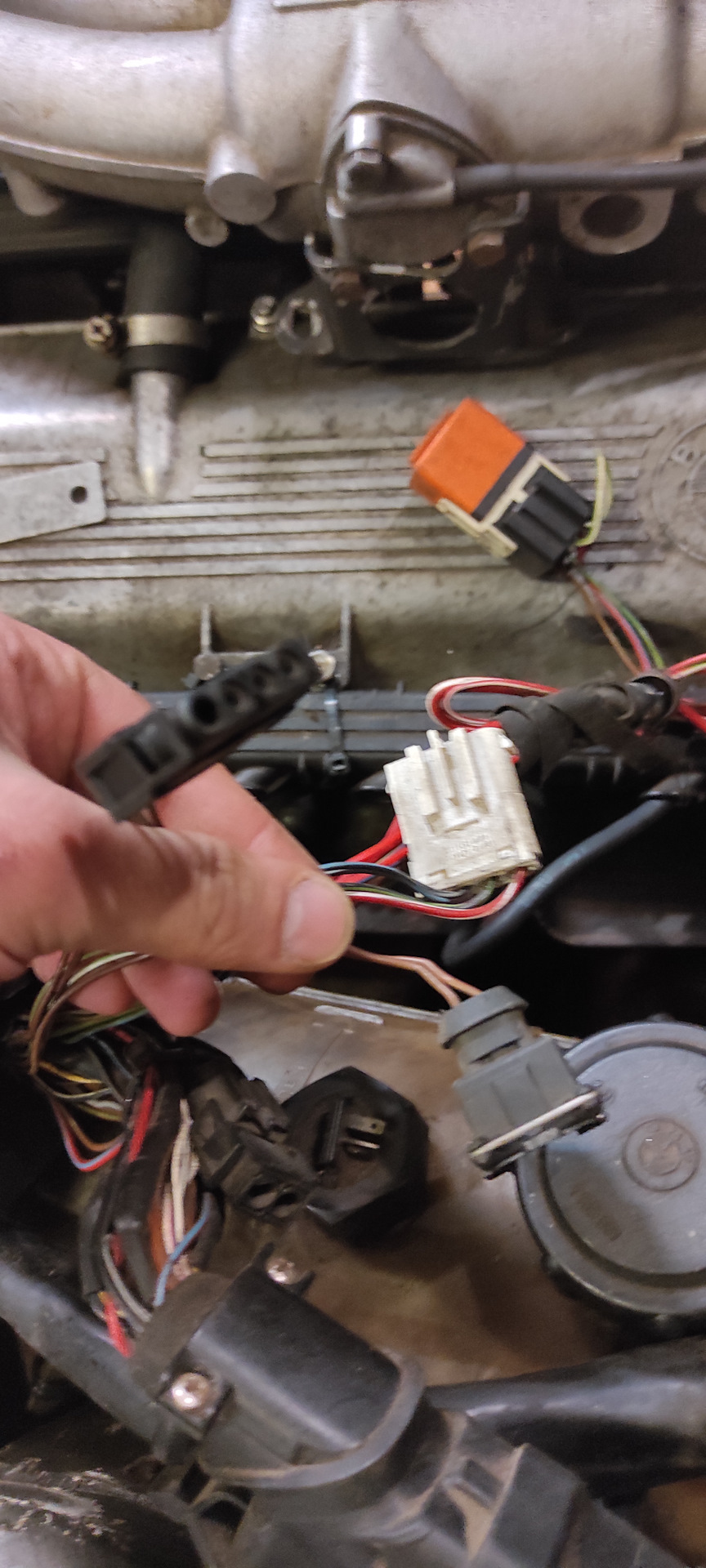 -RCTIjPass6LeVtcnhc2Ae8-B0A-960.jpg