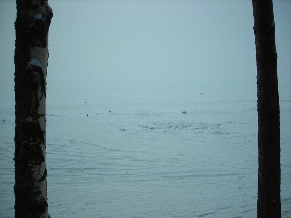 Фото в бортжурнале Renault Sandero 2G