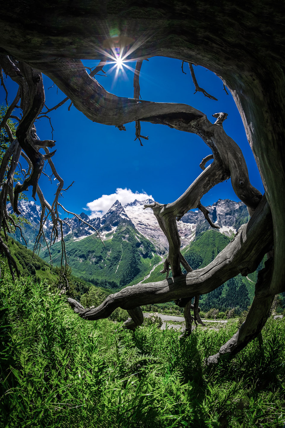 Фото в бортжурнале Renault Kaptur (2020)
