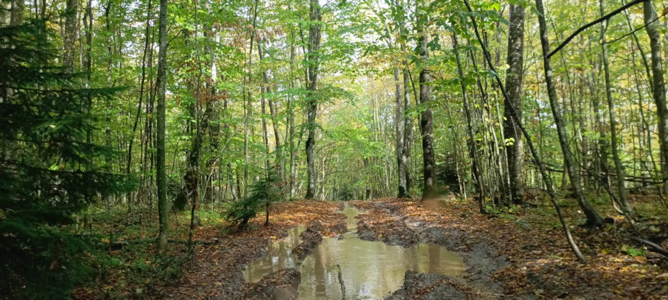 Фото в бортжурнале УАЗ Patriot