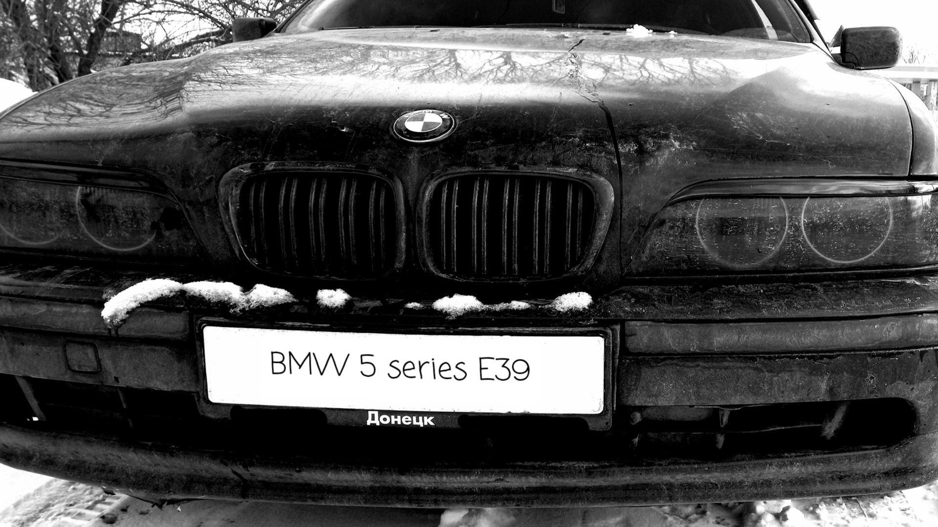 BMW 5 series (E39) 2.0 бензиновый 1997 | ♛♤ 𓃮 Black Panther ♤♛ на DRIVE2