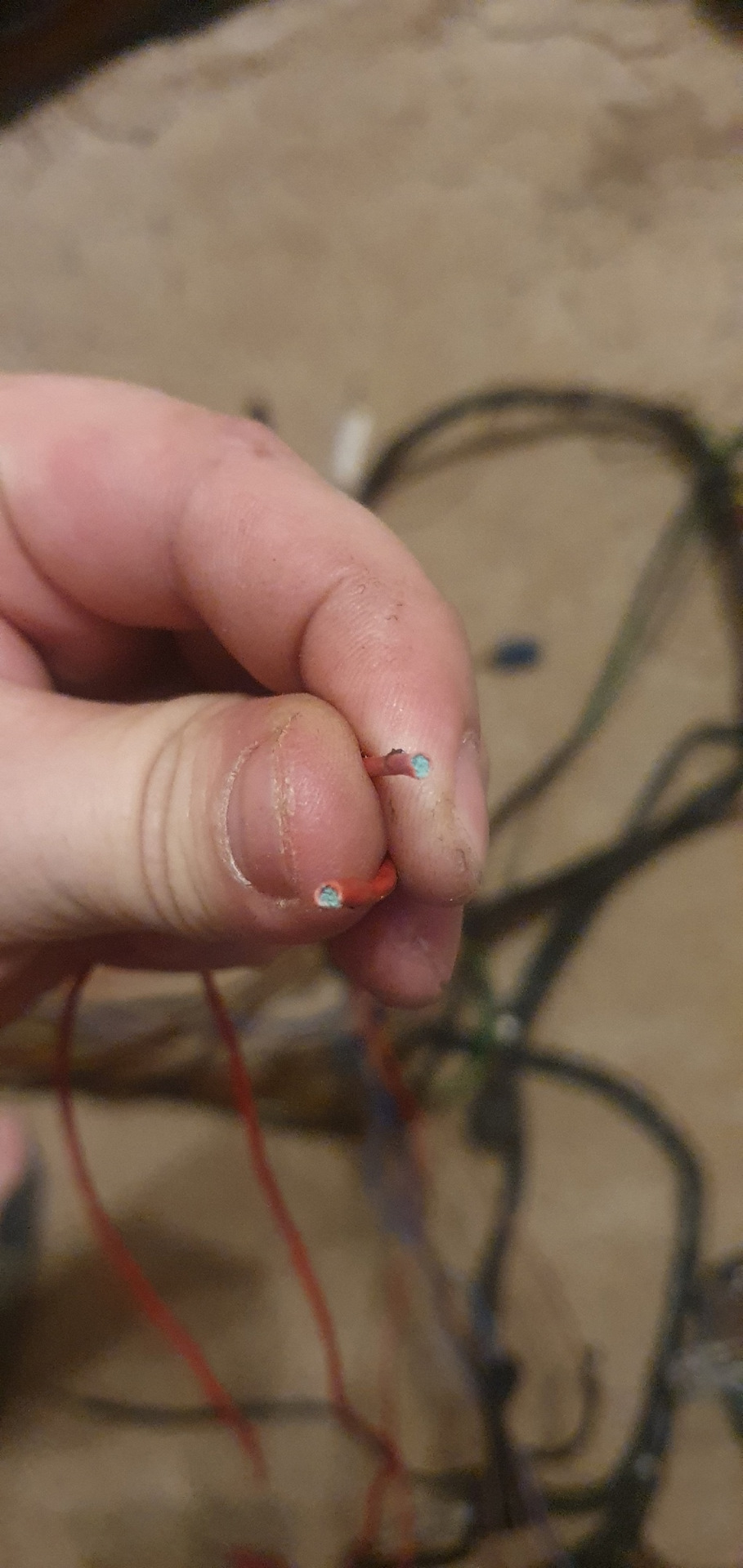 Фото в бортжурнале Ford Transit (4G)