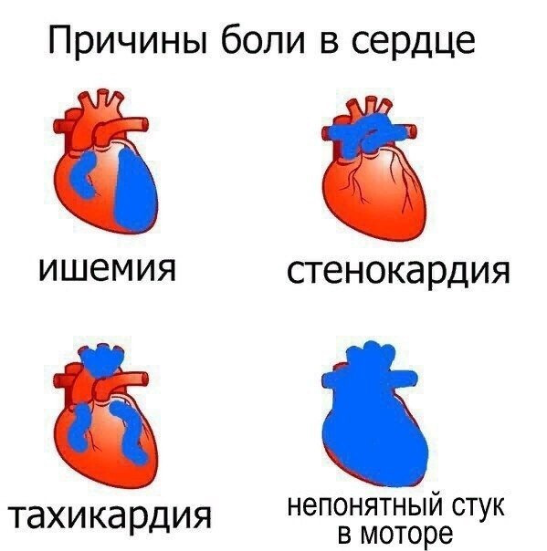 Мемы про сердце