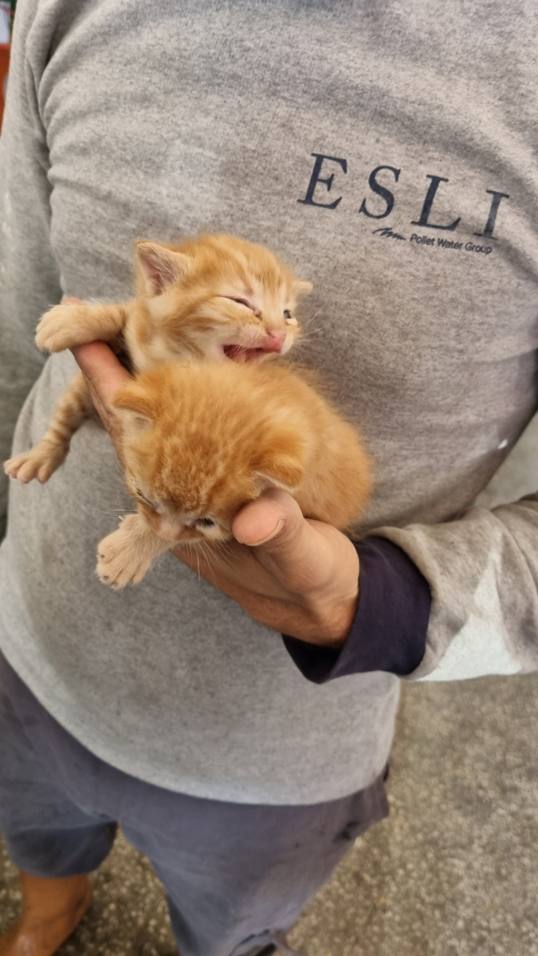 Ещё немного ремонтов — BMW 3 series (E90), 2 л, 2011 года | визит на ...