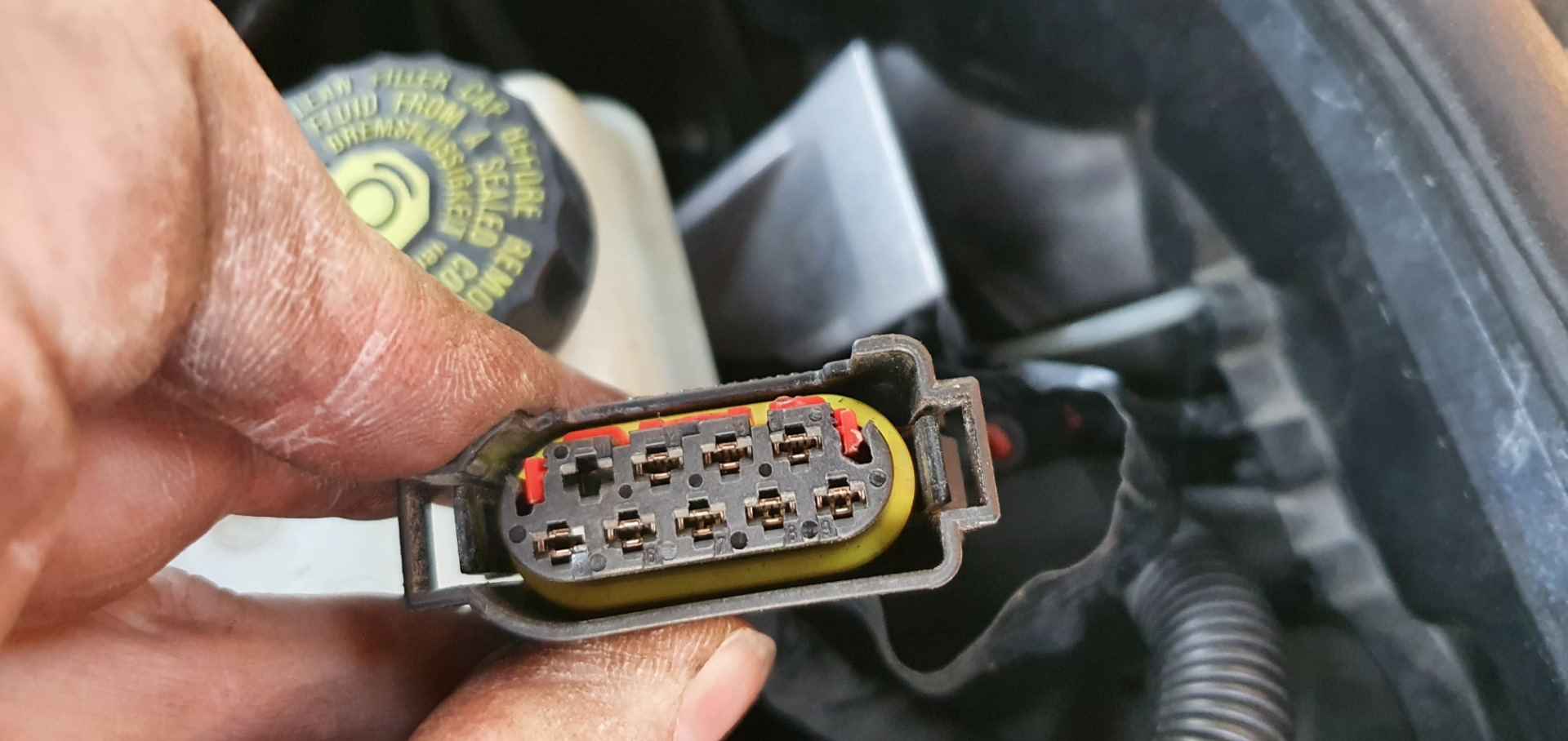 Ошибка 6001. Ошибка по кан шине мерседес а 140 по коробке мигает f. Ошибка 6001. Ошибка 6001. World of warships ошибка critical error has been occurred.