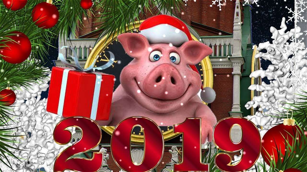 Прикольные видео открытки с новым годом 2019, днем рождения
