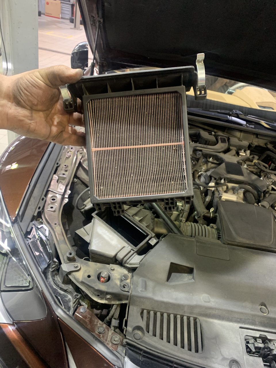 Показали, где воздушный фильтр — Lexus LC 500