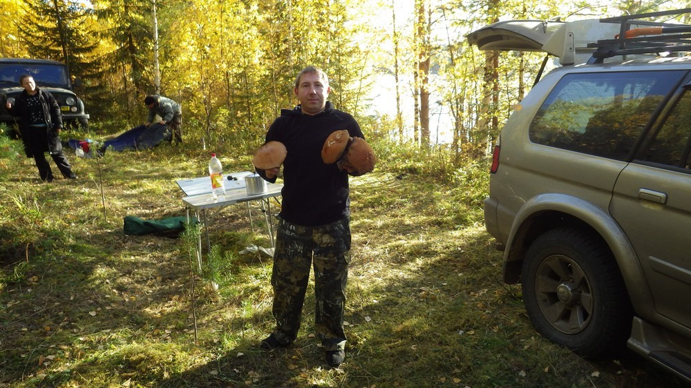 Погода в пиринеми Погода в пиринеми