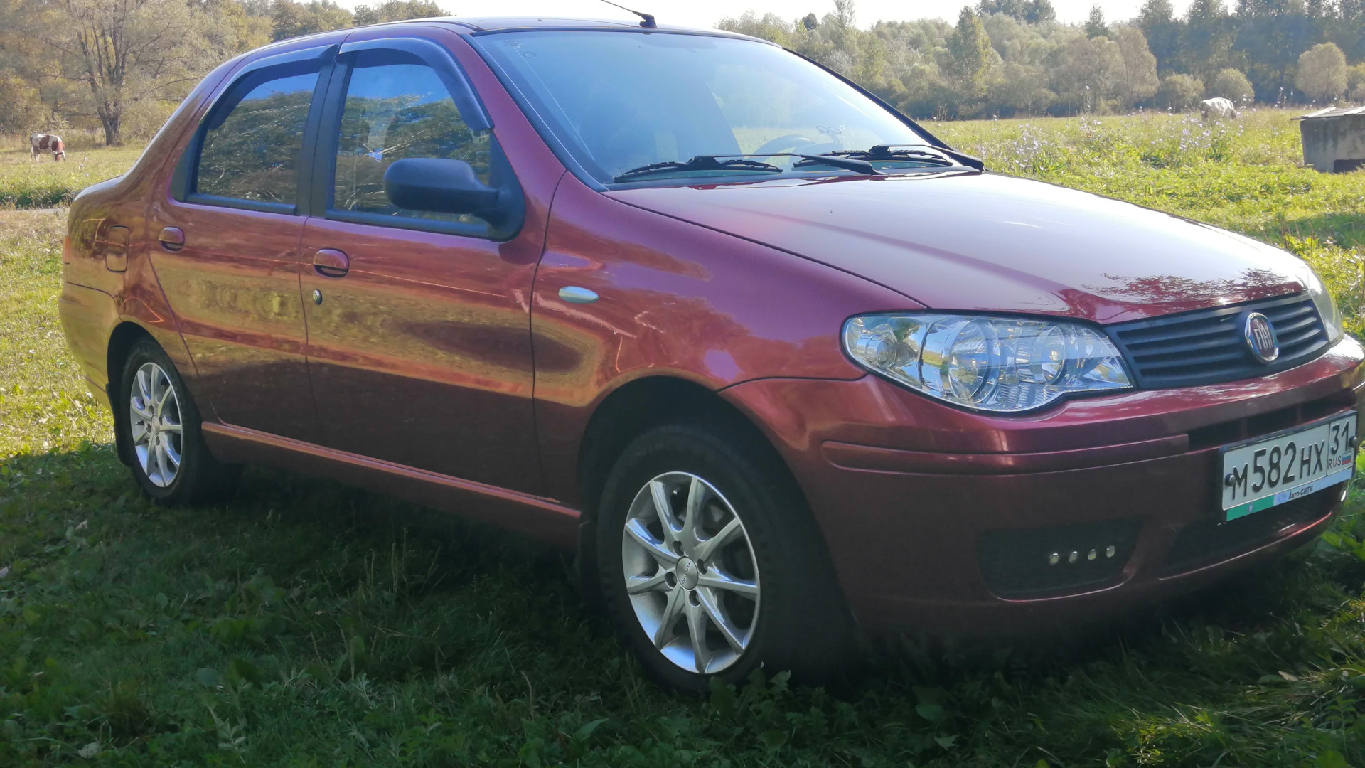 FIAT Albea 1.4 бензиновый 2009 | на DRIVE2