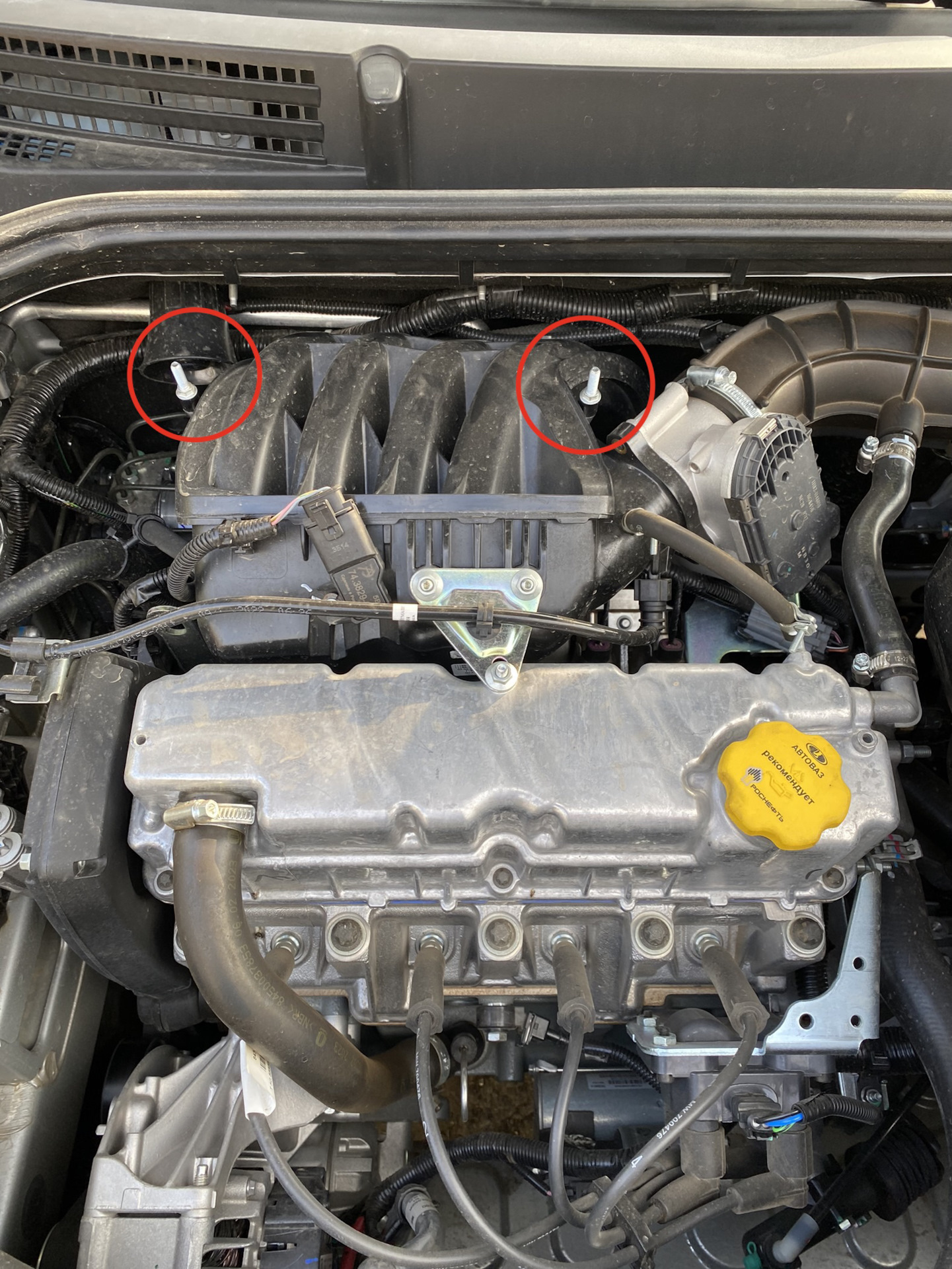 Экран двигателя от гранты — Lada Vesta SW (NG), 1,6 л, 2023 года ...
