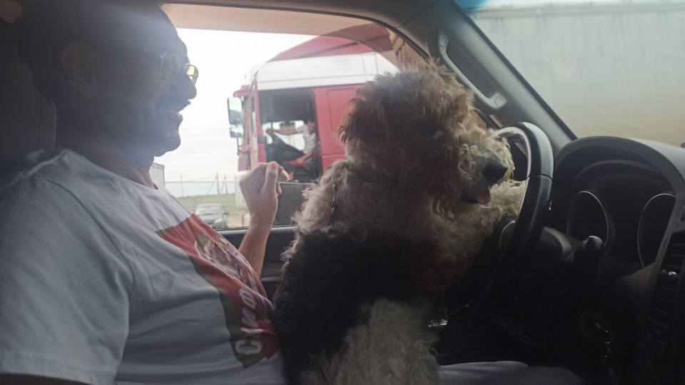 Фото в бортжурнале Mitsubishi Pajero (4G)