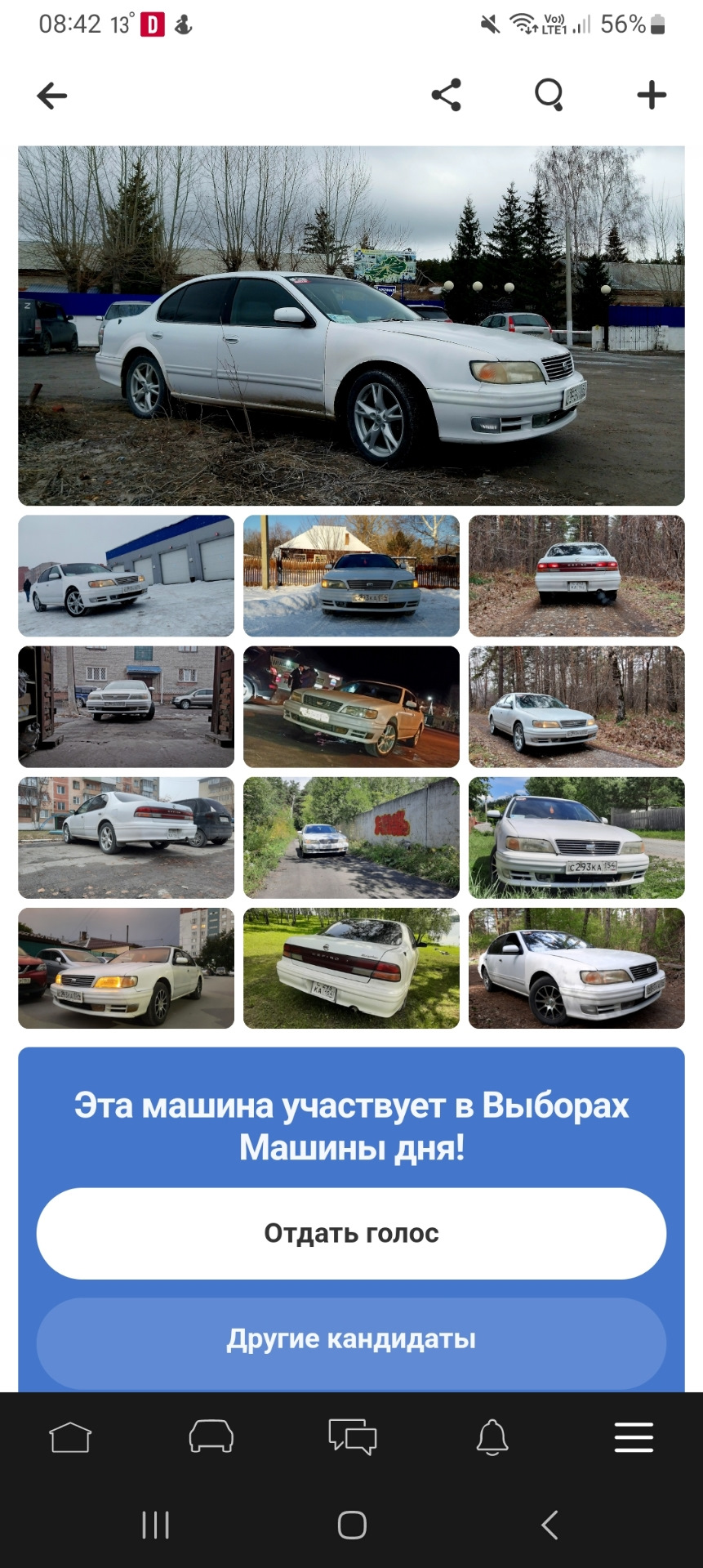 174. 7.05.2023 снова выборы машины дня🥳 — Nissan Cefiro (A32), 2,5 л, 1995  года | рейтинг и продвижение | DRIVE2