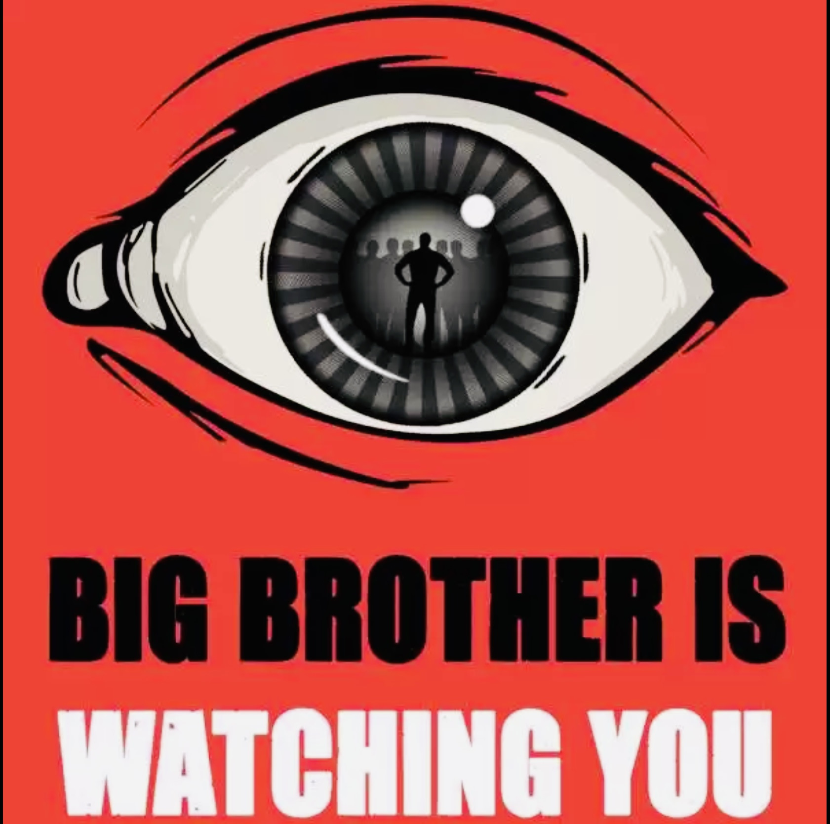 Brother watching. Big brother 1984. Большой брат. Большой брат следит. Большой брат следит за тобой.