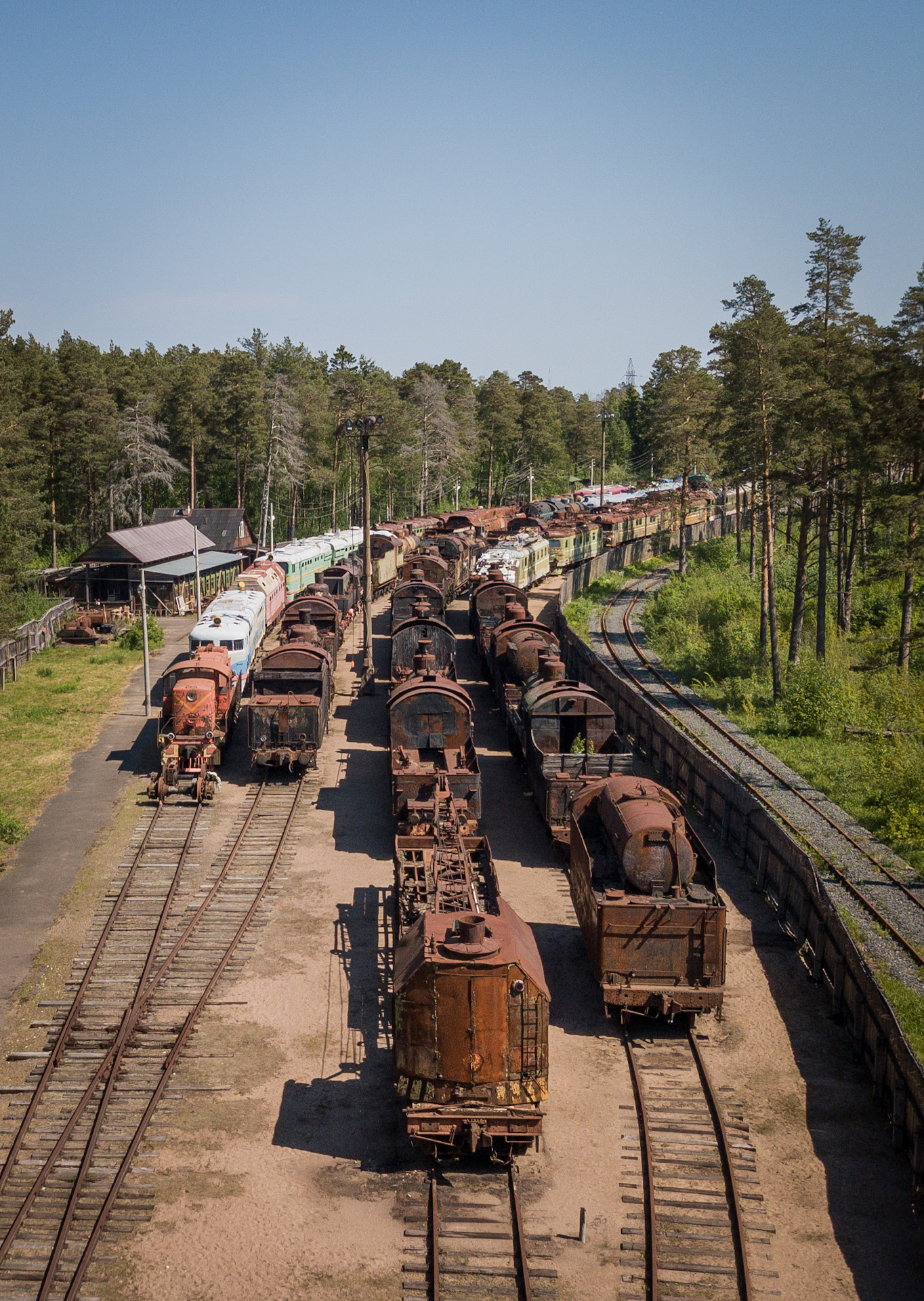 пионерский парк