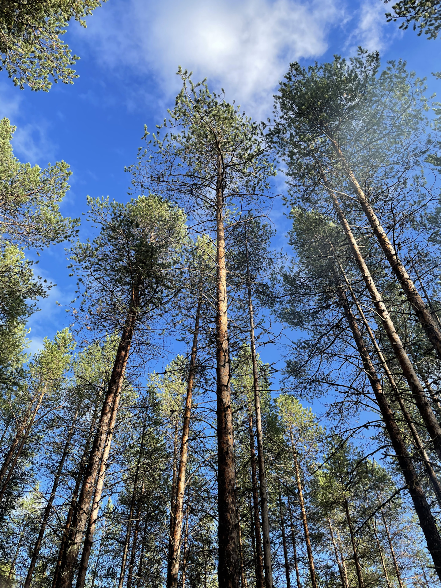 Про расход — Cadillac Escalade (3G), 6,2 л, 2011 года | покатушки | DRIVE2