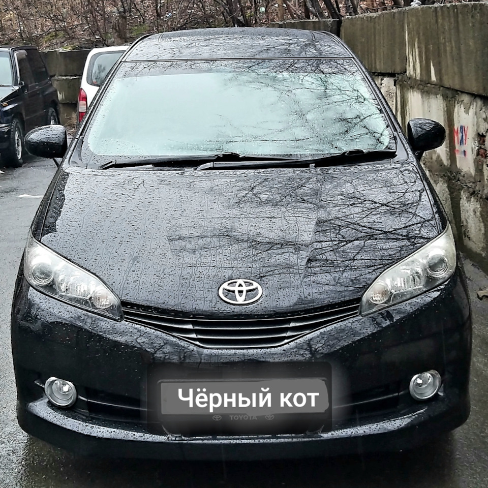 Профилактика стартера перед зимой — Toyota Wish (AE20), 2 л, 2009 года |  визит на сервис | DRIVE2