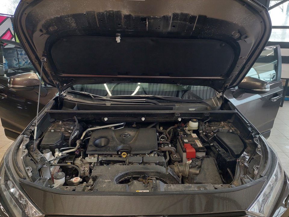 Газовые упоры капота Toyota — Toyota RAV4 (5G), 2 л, 2020 года ...