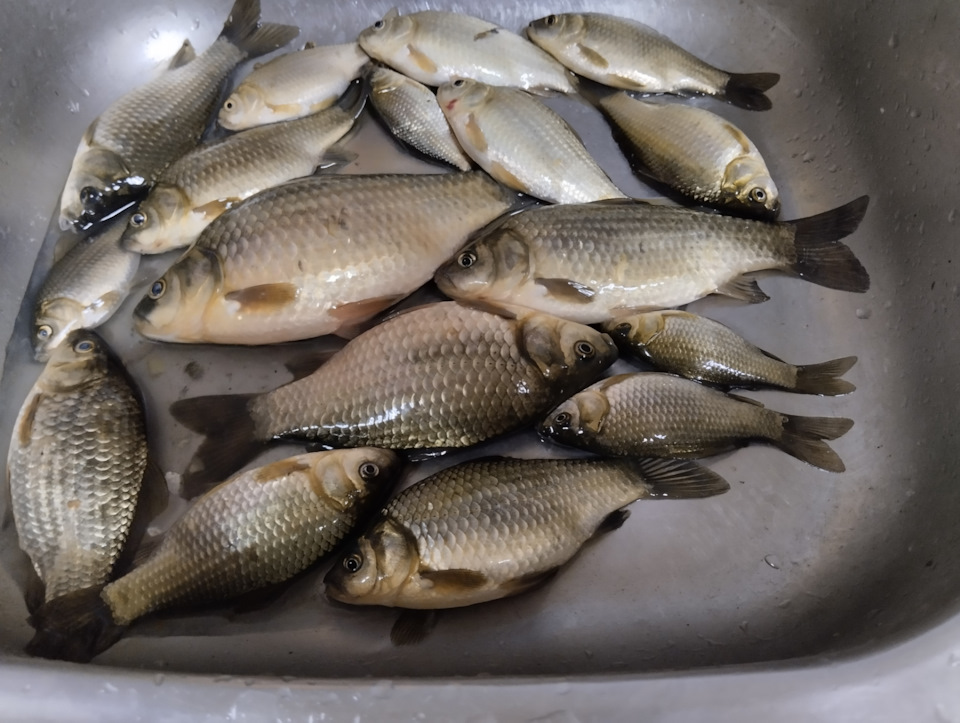 Оторвался глушитель — Lada XRAY, 1,6 л, 2016 года | поломка | DRIVE2