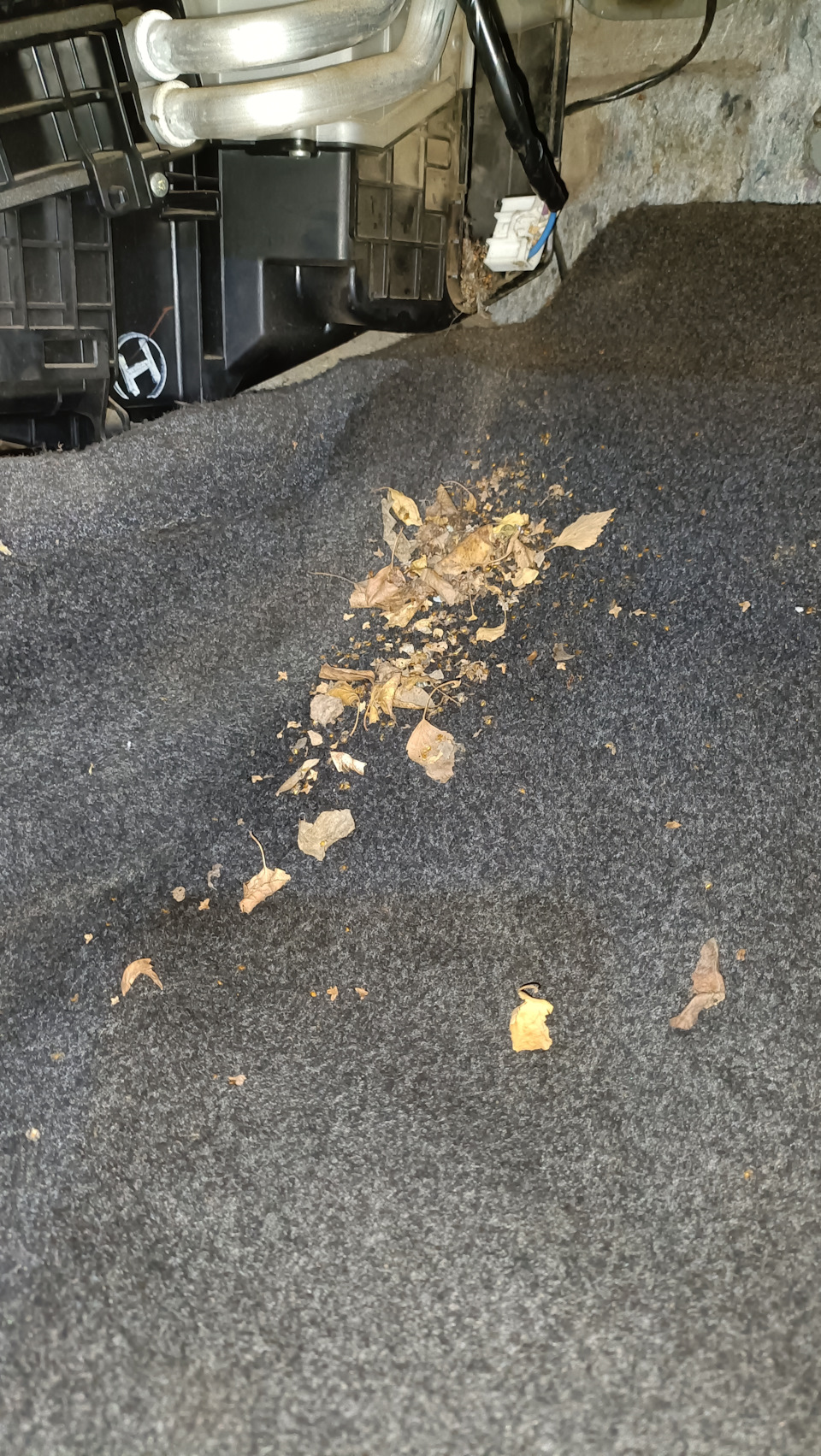 Грязь — Mazda 3 (2G) BL