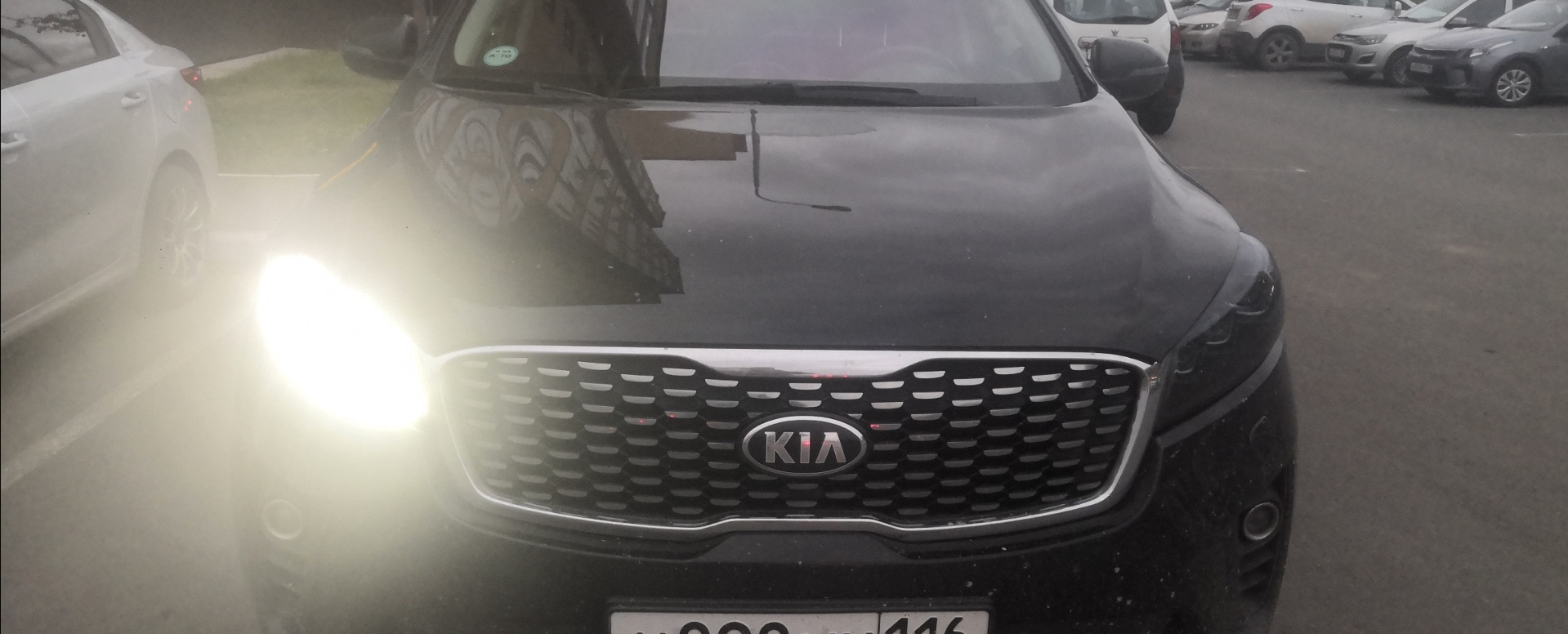 22. Не горит левая LED фара — KIA Sorento (3G), 2,4 л, 2019 года | поломка  | DRIVE2