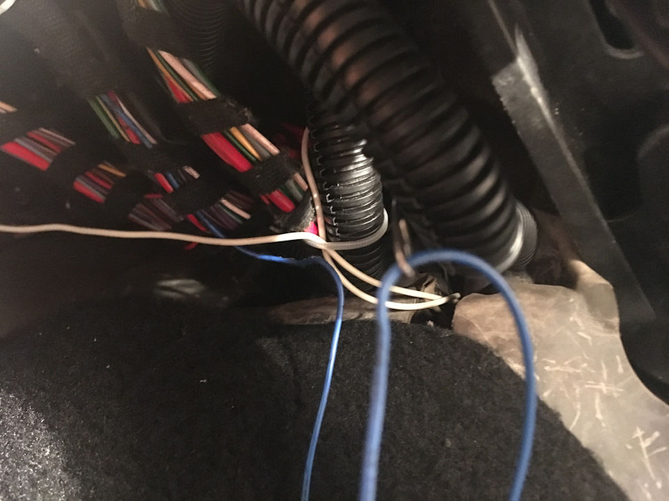 Фото в бортжурнале Skoda Octavia A5 Mk2