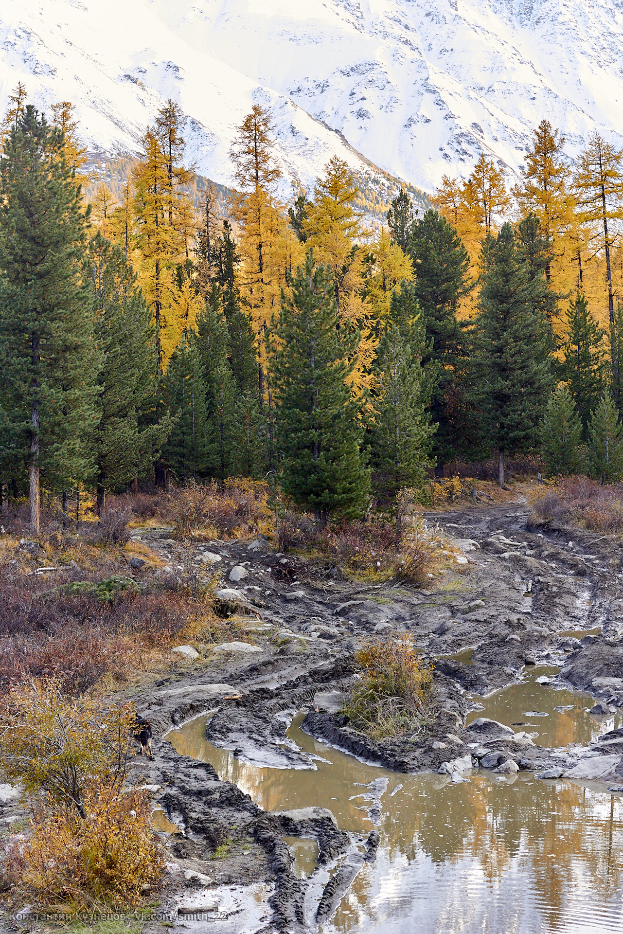 алтай в сентябре. горный алтай катунь осень. алтай чемальский каньон. алтай в сентябре фото. алтай в сентябре.