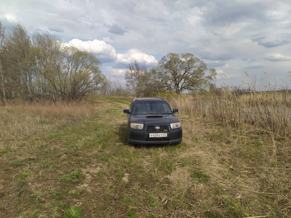 Фото в бортжурнале Subaru Forester (SG)