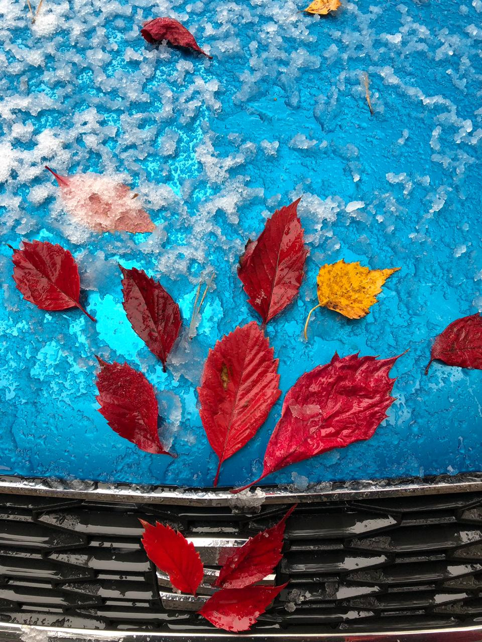 Осенний "тюнинг" и замена цепи. — SEAT Leon FR (Mk3), 1,8 л, 2013 года ...