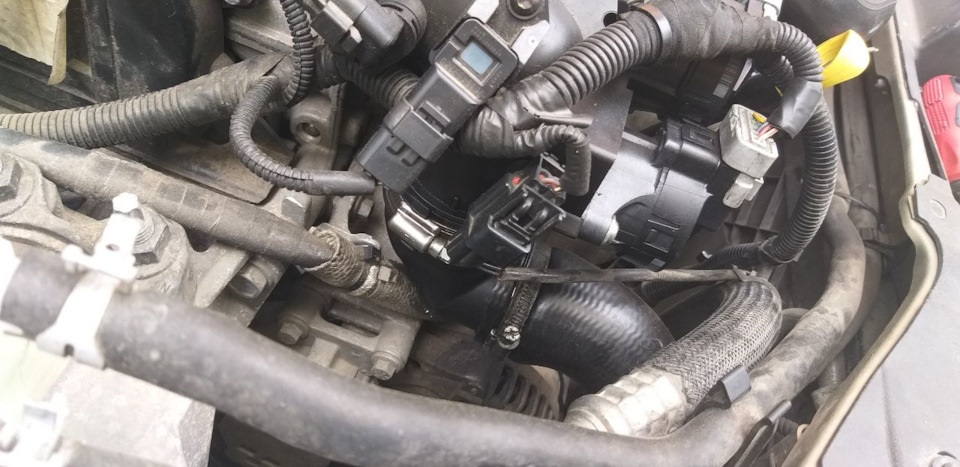 после купания, и пока в таком же состоянии — Volvo C30