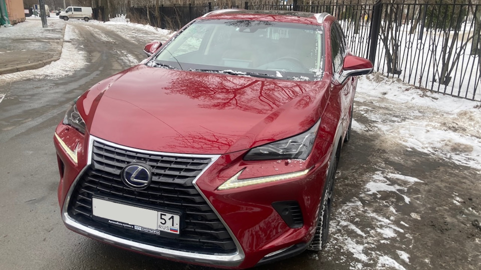 Lexus NX Hybrid Небрит