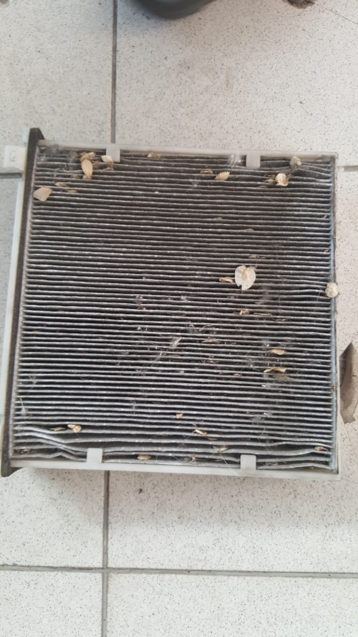 Отзывная кампания. Замена пиропатрона подушки безопасности. — Subaru ...