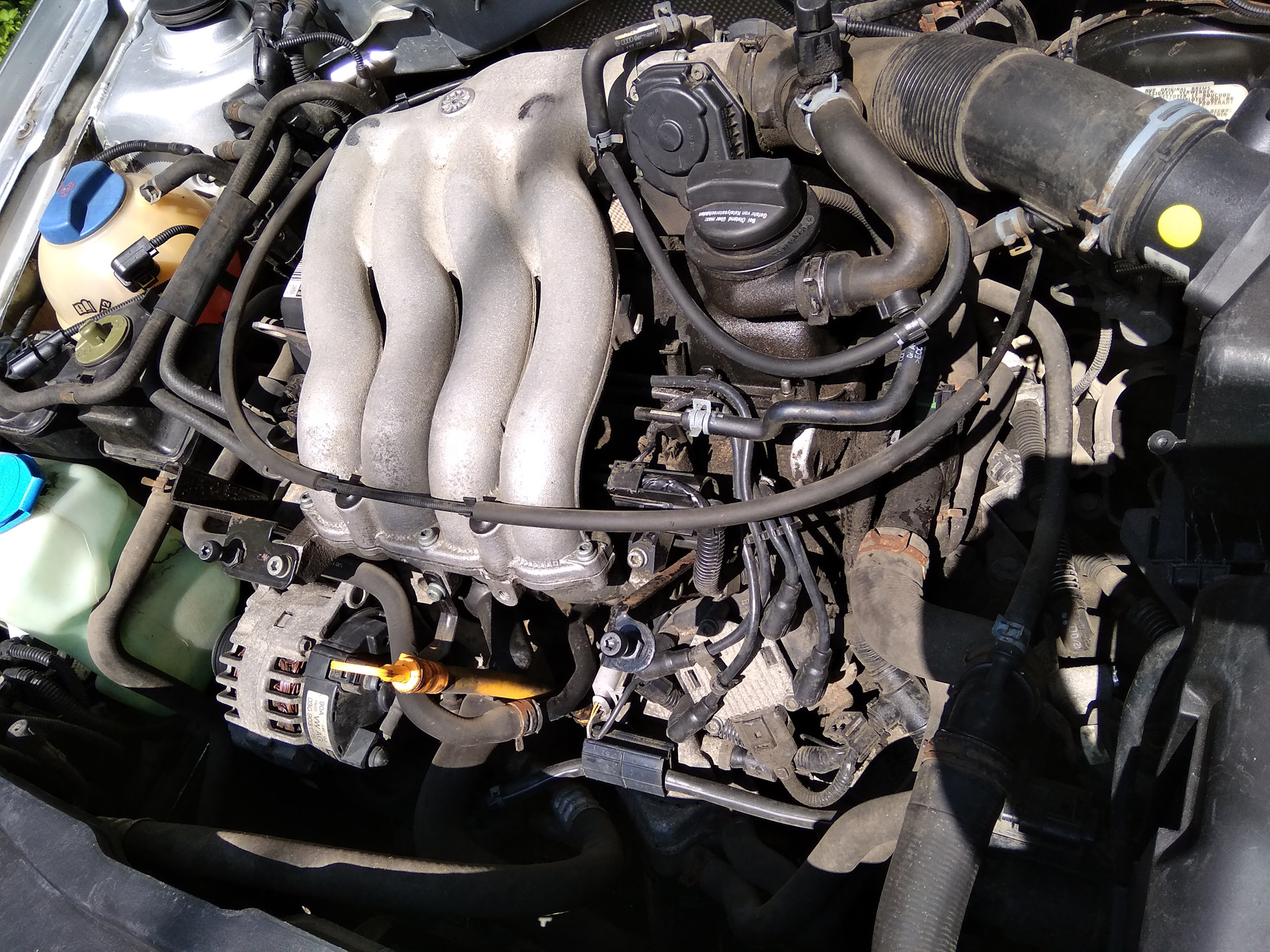 Volkswagen bora двигатель