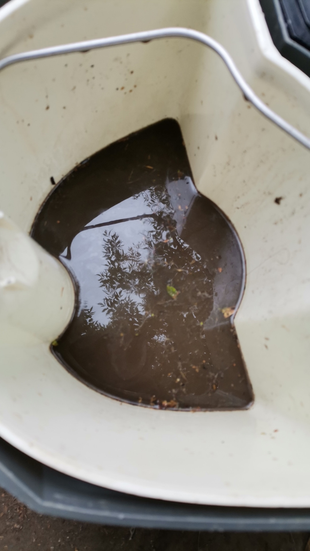 Подготовка к зиме (фильтра, масло). Хим. чистка салона самостоятельно ...