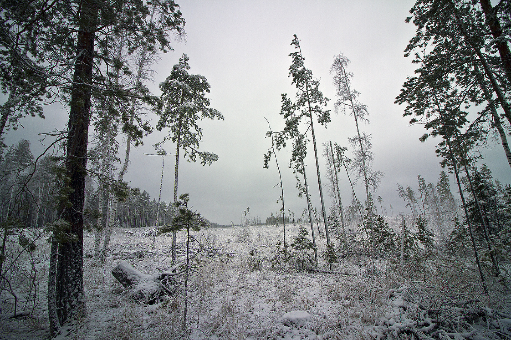 Нынче 2023. Песков демотиваторы. Нынче 2023. Нынче 2023. Нынче 2023.